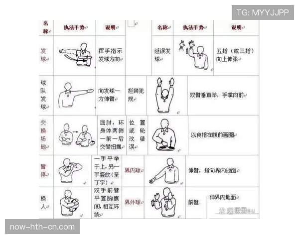 裁判手势图解：常见判罚动作及其规则含义